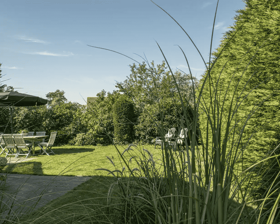 Vakantiehuis-hond-2
